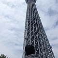 P1010257.JPG