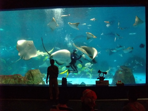 花蓮海洋公園大洋館