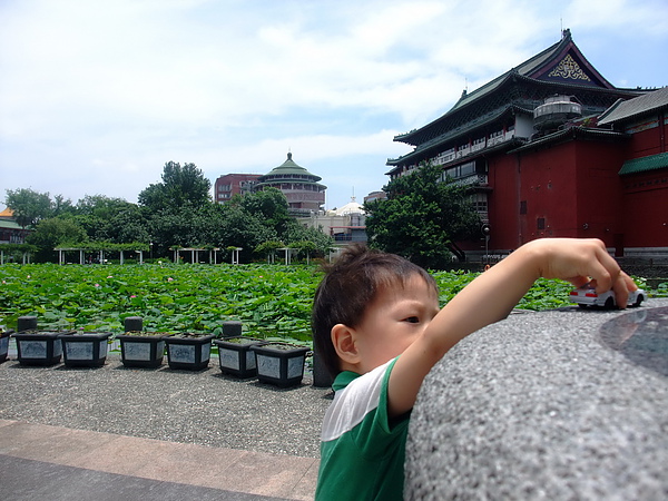 植物園玩小車車