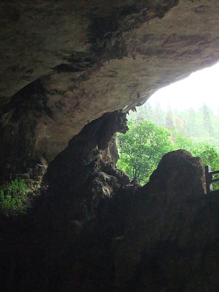 0720-九鄉溶洞-這石頭像隻老虎要衝出.jpg
