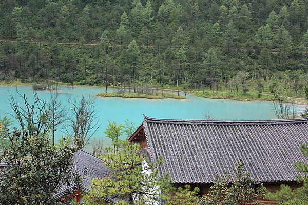0717-玉龍雪山-白水河 2.jpg