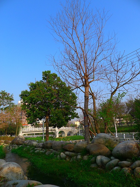 06-豐原市郊小公園.jpg