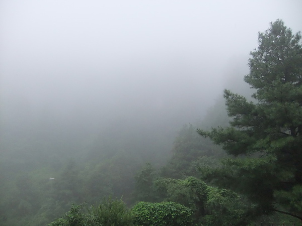 0718-大雨濃霧中的點蒼山.jpg