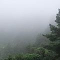 0718-大雨濃霧中的點蒼山.jpg