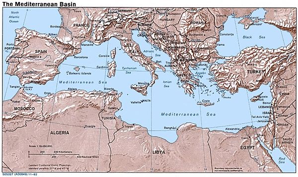 20090211_600px-Mediterranean_Relief(Wiki).jpg