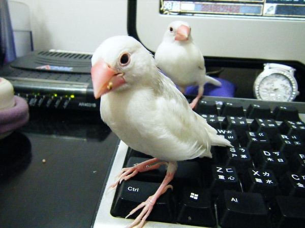 照片 017.jpg 照片 017.jpg