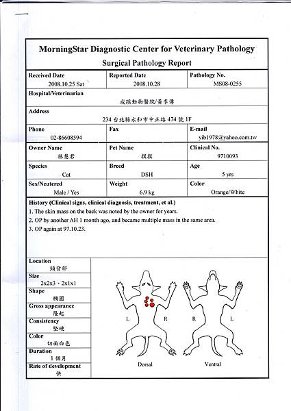 摸摸病理切片報告1.jpg