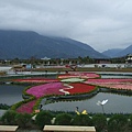 池上花海景.JPG