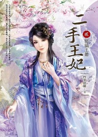 二手王妃<二> 二手王妃<二>