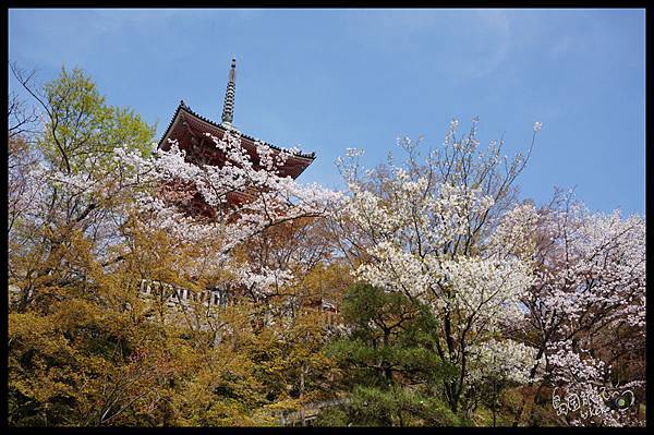 日本京都-清水寺主舞台20.jpg