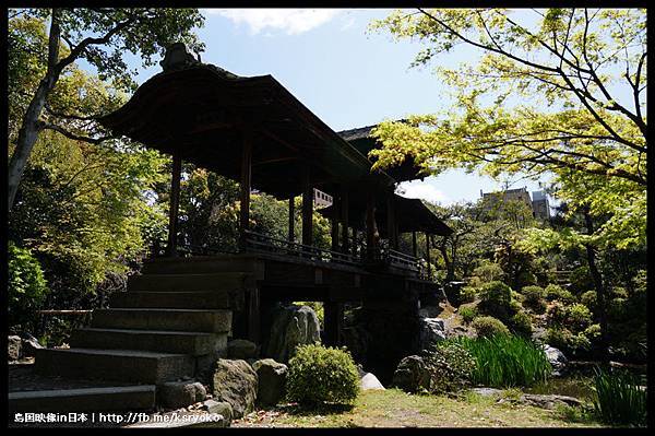 涉成園 櫻花季