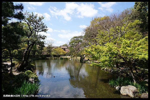 涉成園 櫻花季