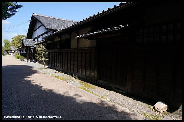 涉成園 櫻花季