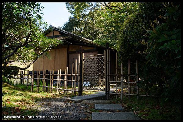 涉成園 櫻花季