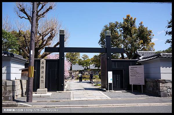 涉成園 櫻花季