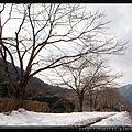 日本京都南丹市_美山雪祭.33.jpg