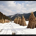 日本京都南丹市_美山雪祭.64.jpg