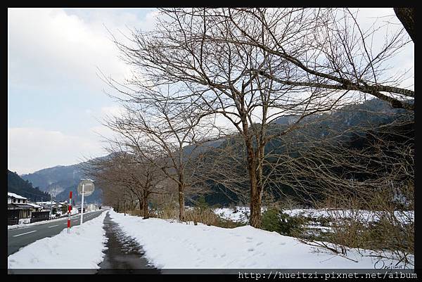 日本京都南丹市_美山雪祭.68.jpg