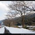 日本京都南丹市_美山雪祭.68.jpg