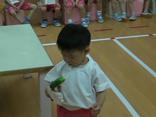 ap_F23_20110527035222896.jpg