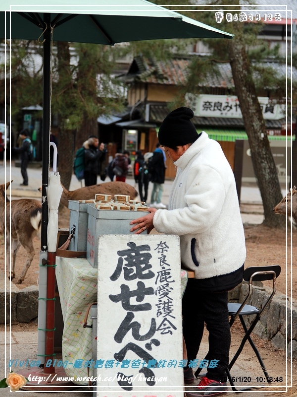 6Y9M-日本京板神奈之旅IMG_879501.jpg