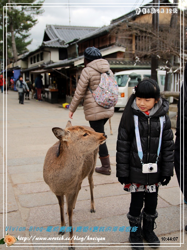 6Y9M-日本京板神奈之旅IMG_886401.jpg