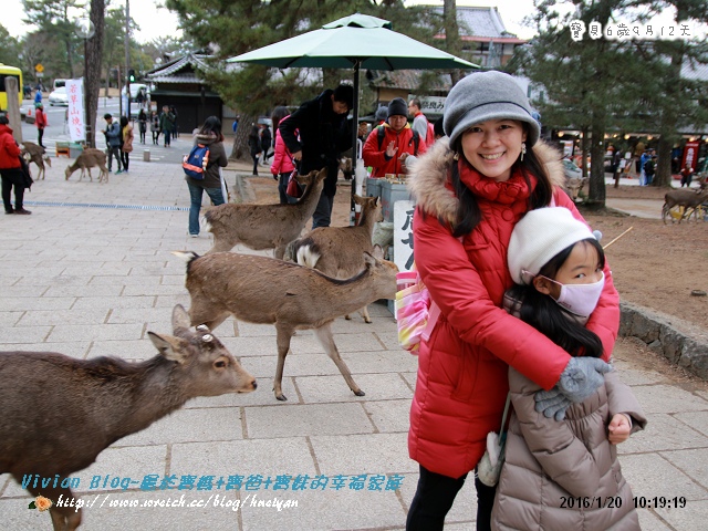 6Y9M-日本京阪神奈之旅IMG_879801.jpg