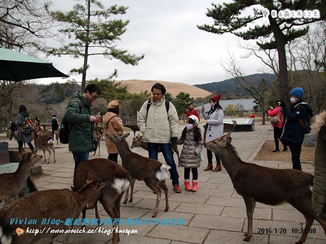 6Y9M-日本京阪神奈之旅IMG_881001.jpg