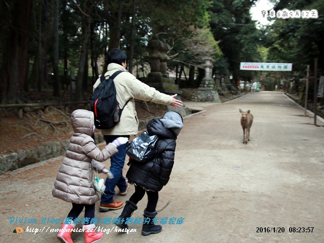 6Y9M-日本京板神奈之旅1IMG_851201.jpg