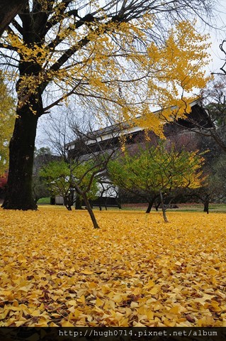 20141201九洲風雨行(第一．五天)_076 (复制).JPG