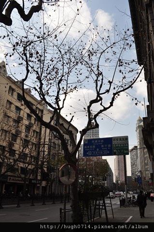 20140106上海行-第四天_029 (复制).JPG