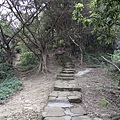 虎山-1.JPG