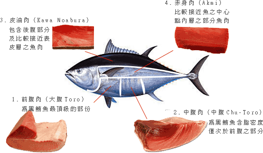 tuna2.gif