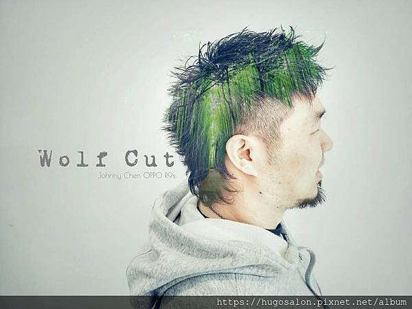 53048620_2059356044111410_1675459329056047104_n