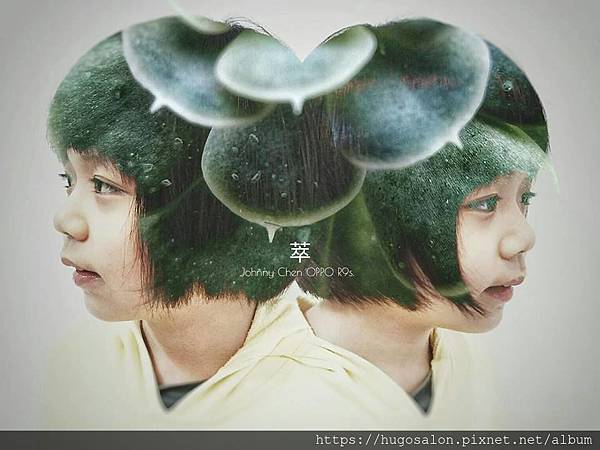 54516427_2088508234529524_4516165018051411968_n