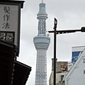 P9030272_調整大小.JPG