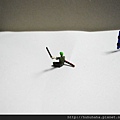 DSCN9796_調整大小.JPG