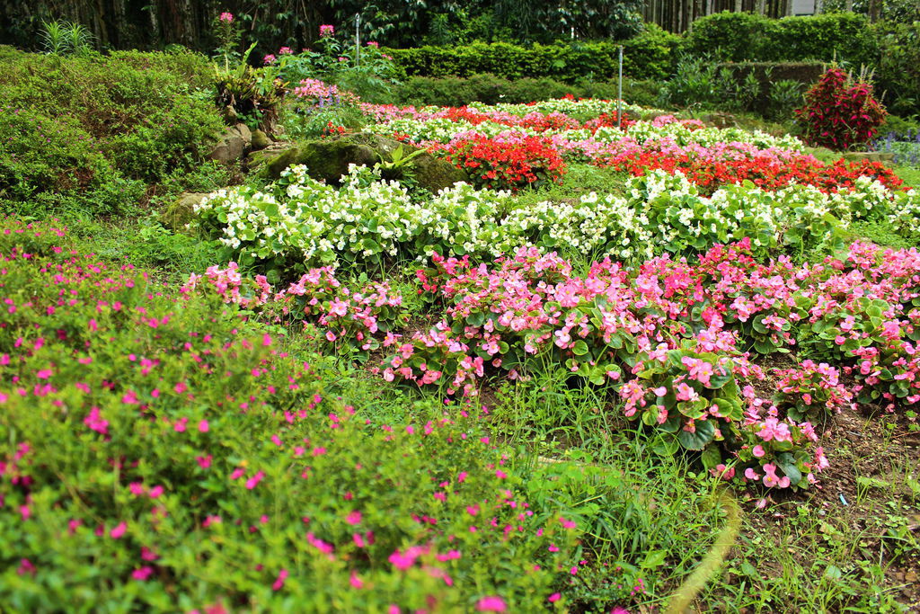 微風山林景觀庭園餐廳