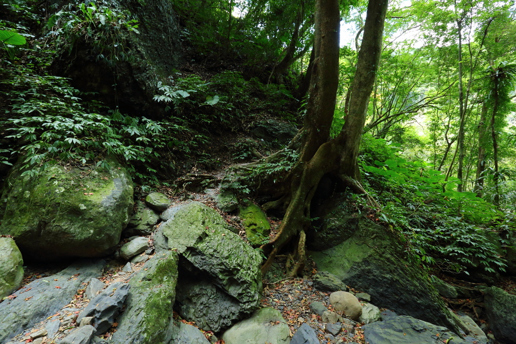 新北市三峽熊空 雲森瀑布