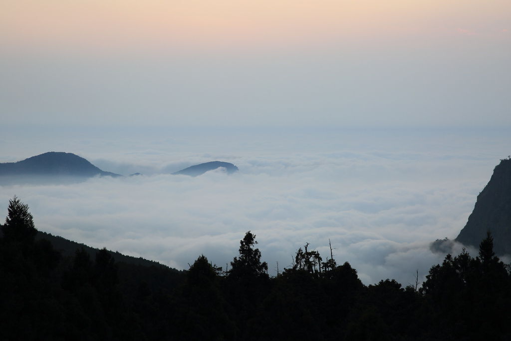 嘉義阿里山 朝麗阿里山賓館（Alishan House)