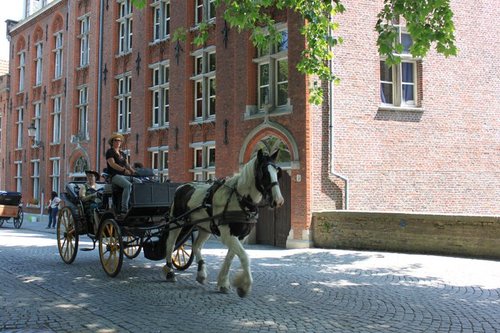 14e437fcb79610.jpg 14e437fcb79610.jpg