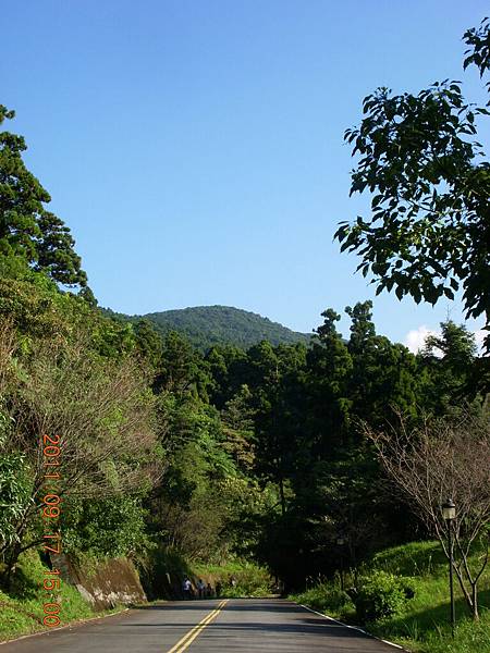 好像這就是山頂