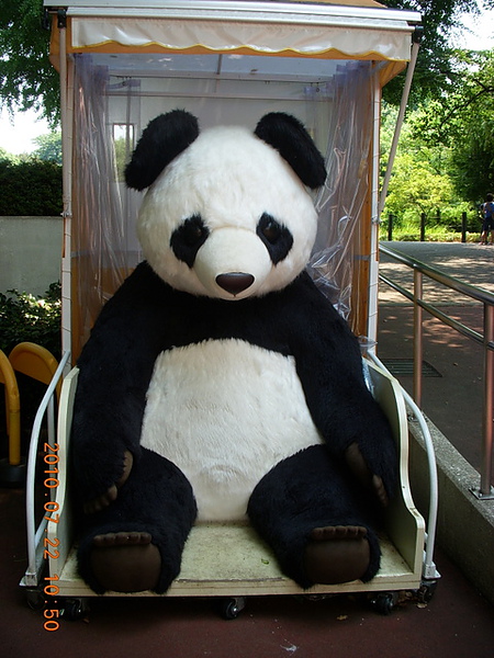 上野動物園,大熊貓死了......