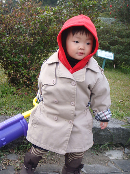 DSC03411.JPG DSC03411.JPG