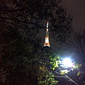 2011.11.17 seoul tower -1.jpg