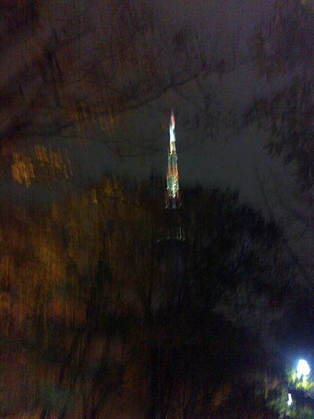 2011.11.17 seoul tower.jpg