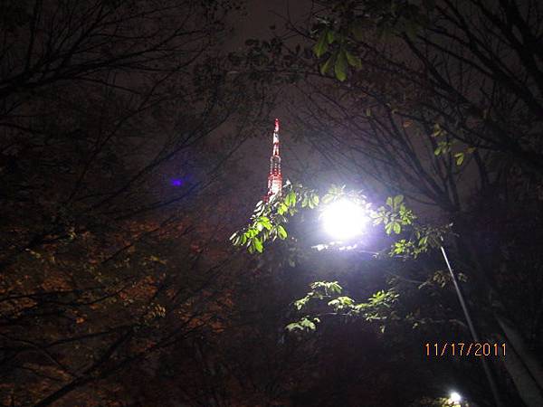 2011.11.17 korea seoul tower .JPG