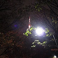 2011.11.17 korea seoul tower .JPG