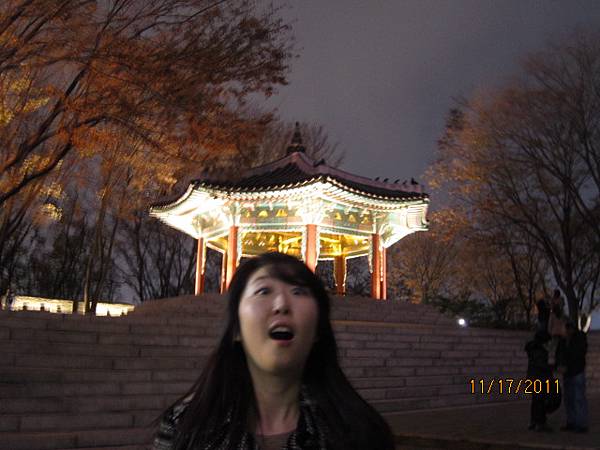 2011.11.17 korea seoul tower-bora 3.JPG