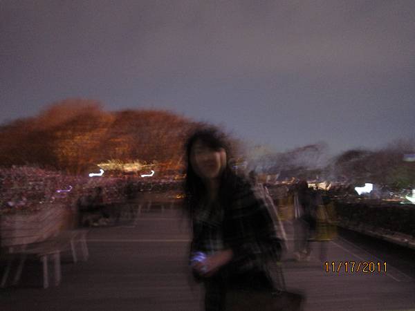 2011.11.17 korea seoul tower-bora.JPG